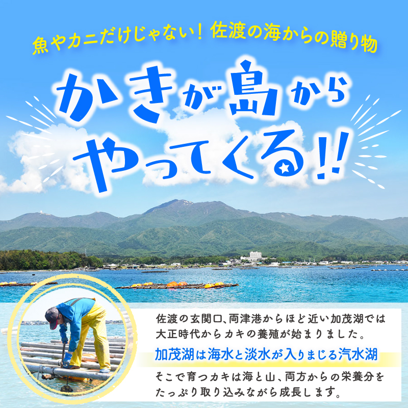 礫äƤ