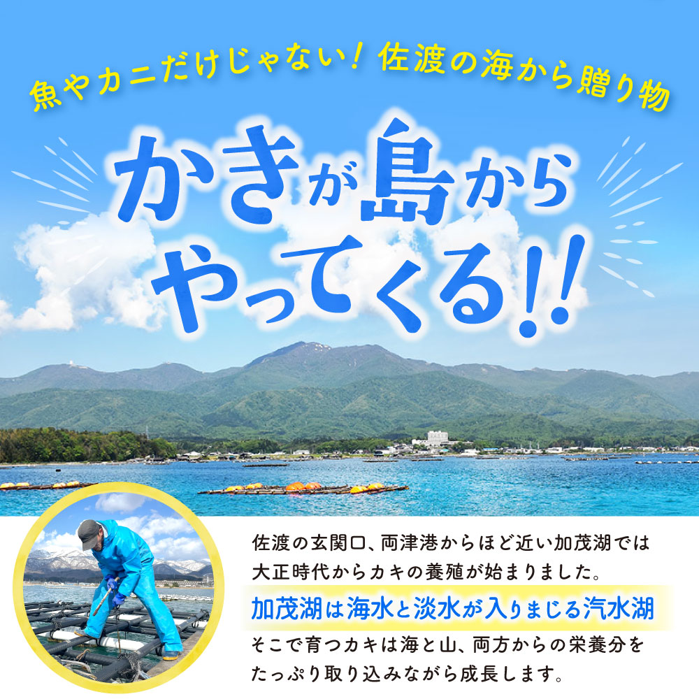 �������礫���äƤ���