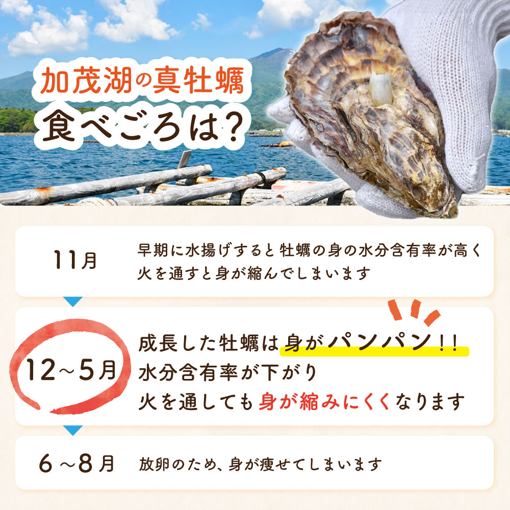 ���٤���