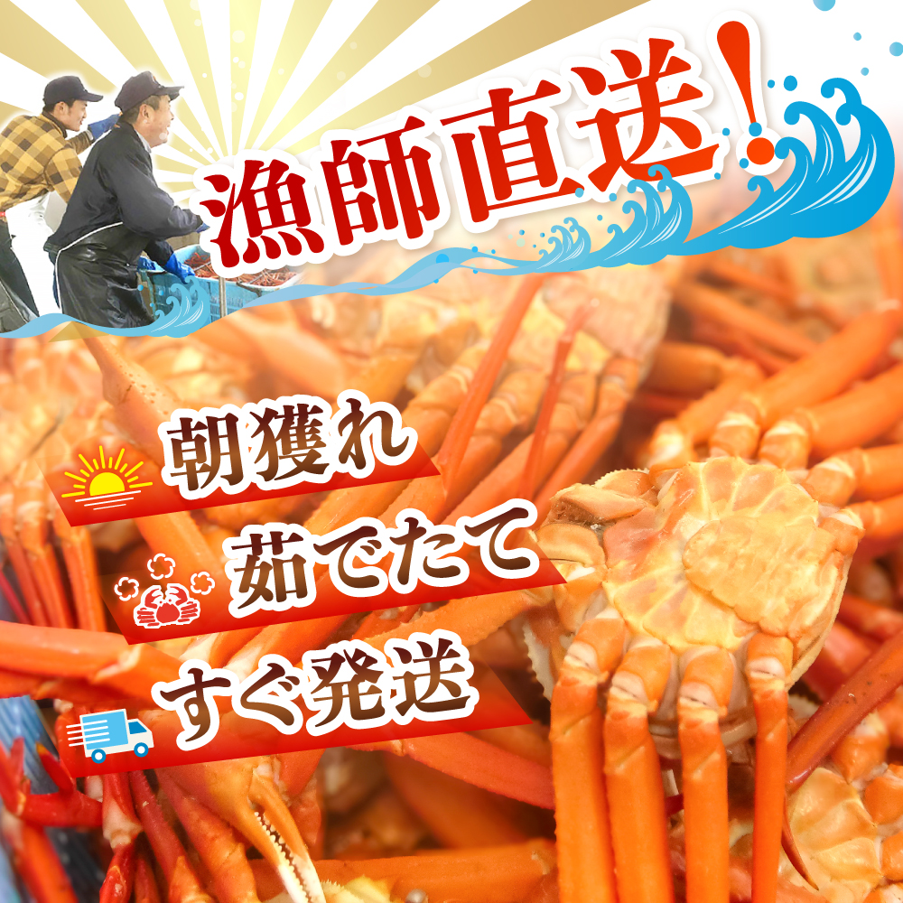 ����ľ��