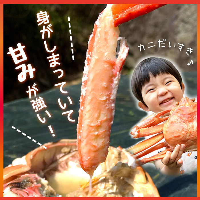 Ȥޤä