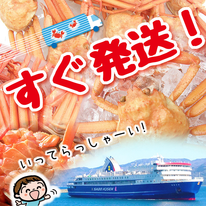 ����ȯ��