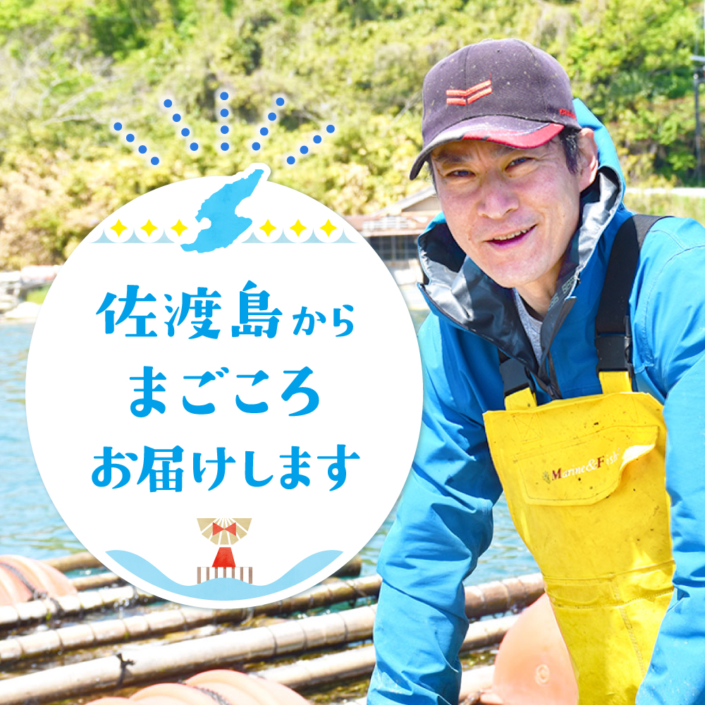 �ޤ��������Ϥ�