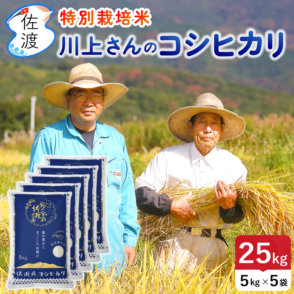 ��夵��Υ����ҥ���