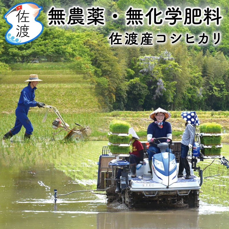 �ڲ�����_̵����_���ϻ������ҥ���