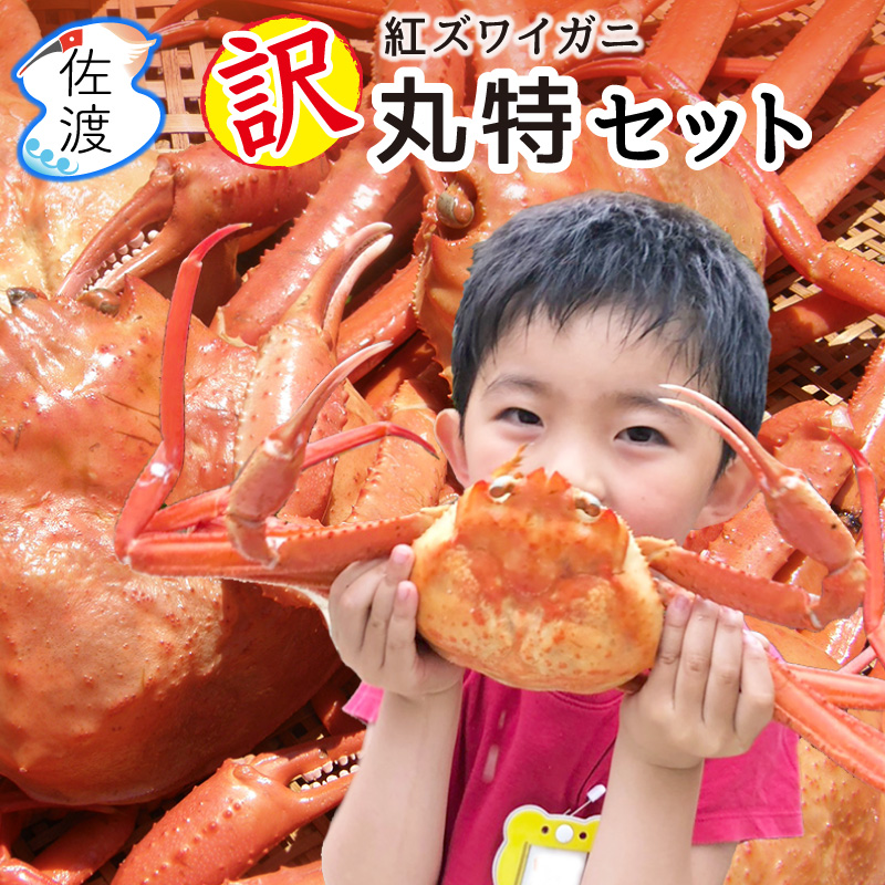 ȥ磻˴å