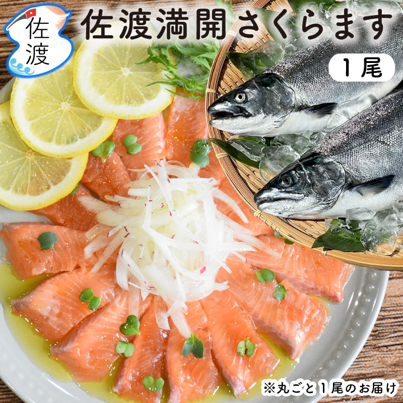 ������ޤ�