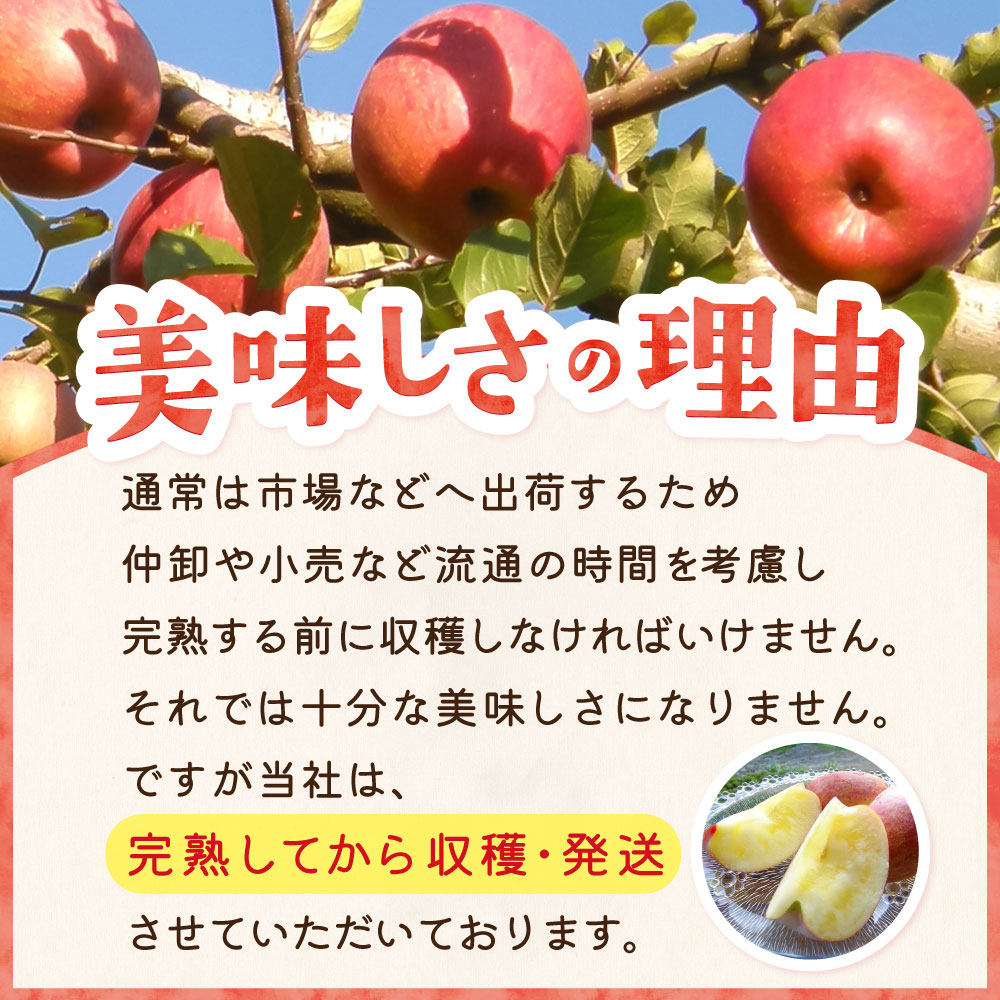 ��̣��������ͳ