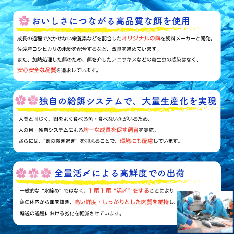 ���������ؤΤ������