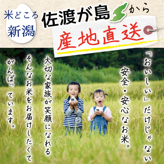 Ϥ礫黺ľ