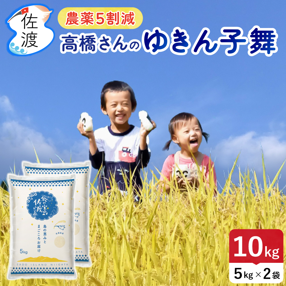 �椭����� 10kg