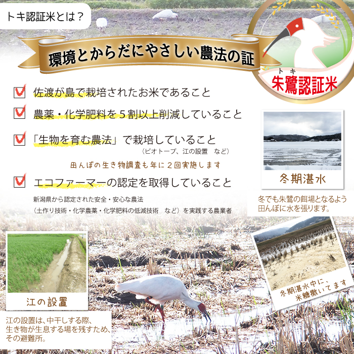 ���ǧ���ƤȤϡ�