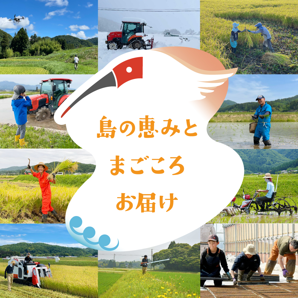 ��ηäߤȤޤ��������Ϥ����������纴�ϡ�