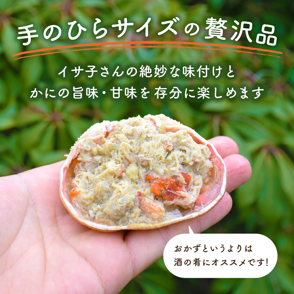 ��ΤҤ饵������������